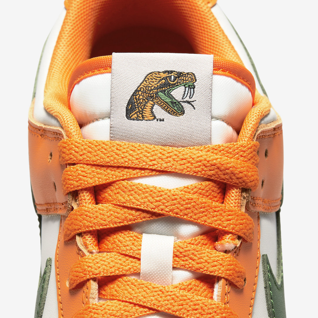 Nike Dunk Low “Florida A&M”